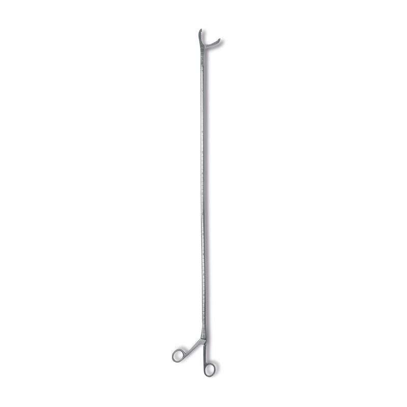 Fremmedlegemetang, L 85 cm 1